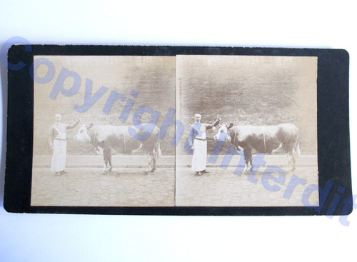 Altes foto stereo ansicht - foto,