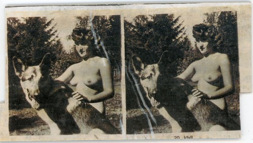 Foto fotografie stereo ansicht - fotografie,