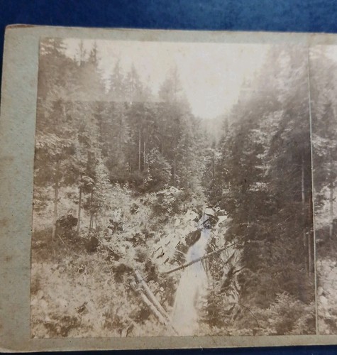 Tschechien 1900 sumavawald - 1900,