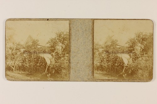 Snapshot photo amateur c1900 - snapshot,