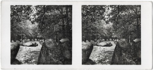 Stereophoto raumbild verlag - stereophoto,, raumbild-verlag