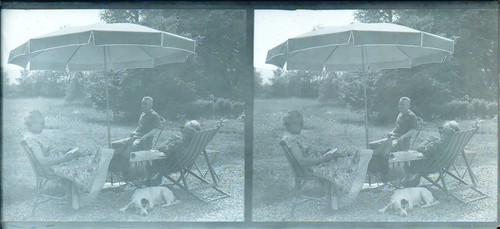 Stereo fotoplatte 6 cm - 13, x