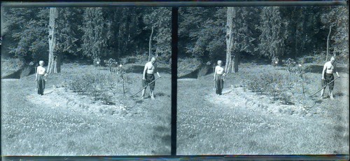 Stereo fotoplatte 6 cm - fotoplatte,