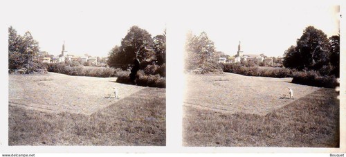 Saint sylvestre stereo - sylvestre,