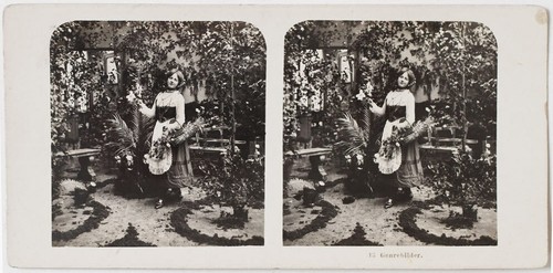 Original 1904 stereofoto - 1904,