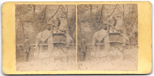 Stereo foto fahrt auf dem - fahrt,